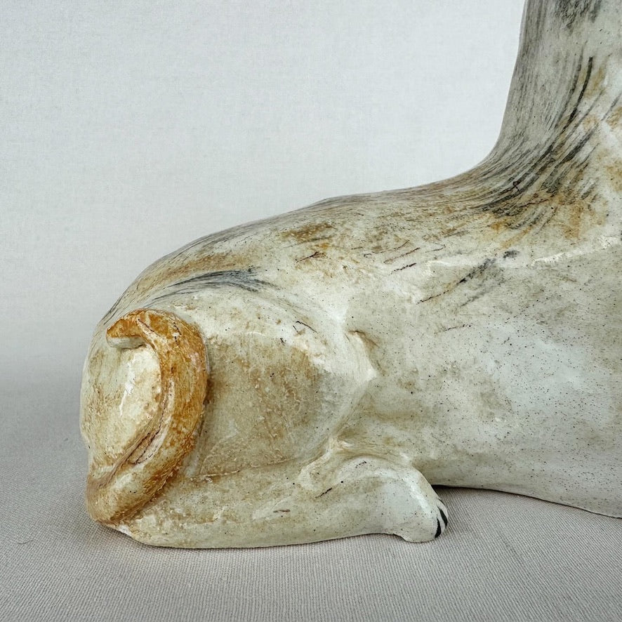 Pinski the Chihuahua