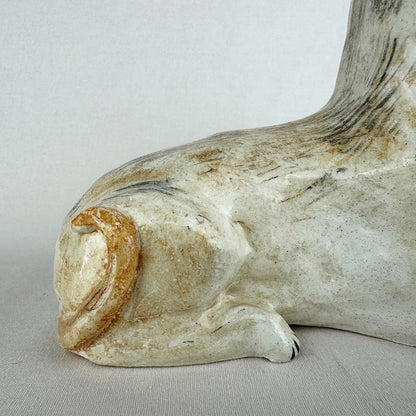 Pinski the Chihuahua