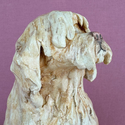 Louie the Labradoodle