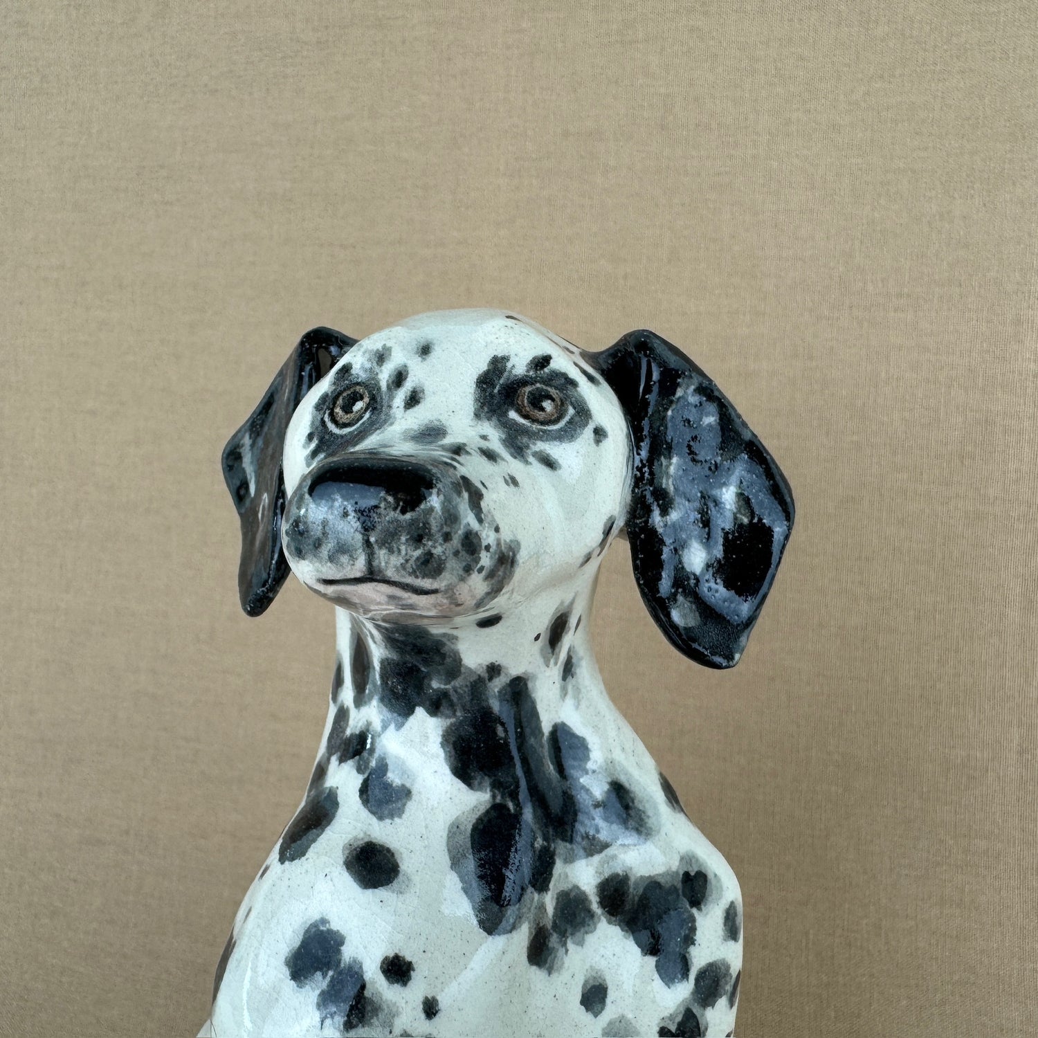 Maisy the Dalmation