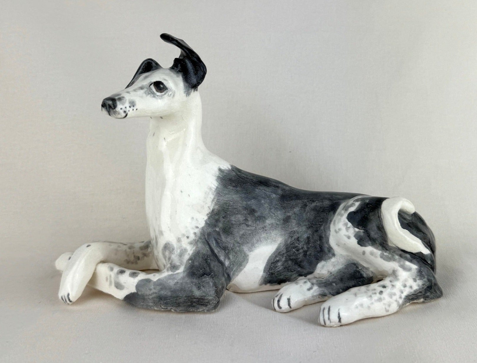 Ottolenghi the Greyhound