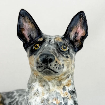 Australian Cattle Dog