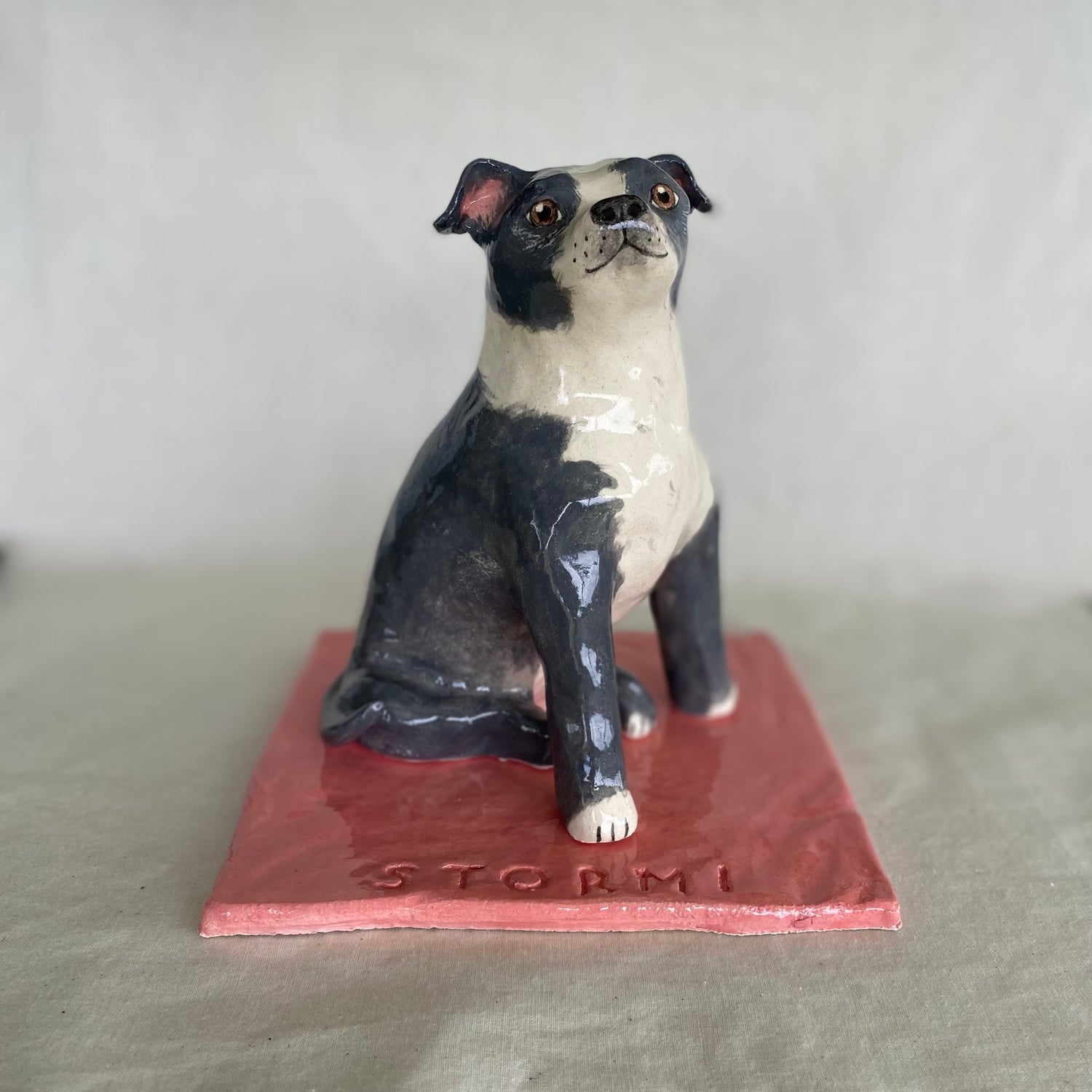 Stormi - English Staffordshire Terrier