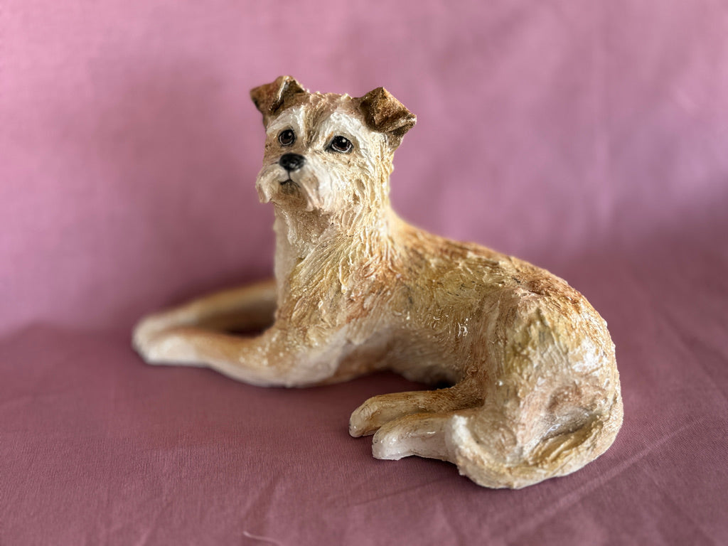 A Lucky Border Terrier