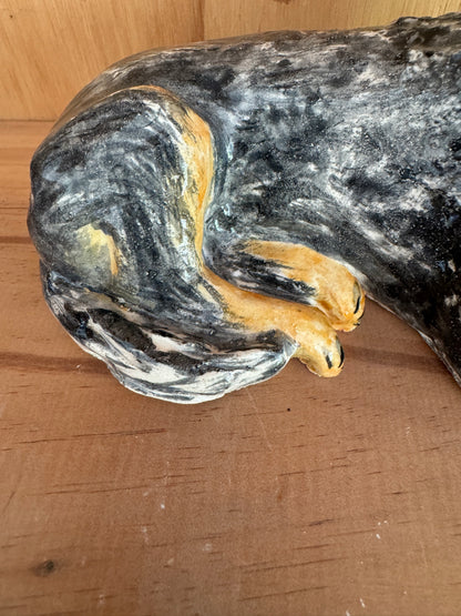 Basil the blue heeler.