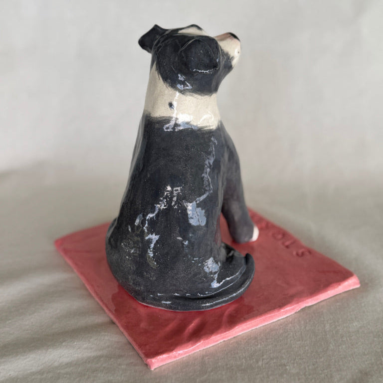 Stormi - English Staffordshire Terrier