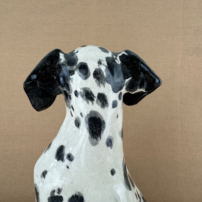 Maisy the Dalmation