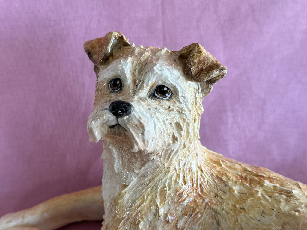 A Lucky Border Terrier