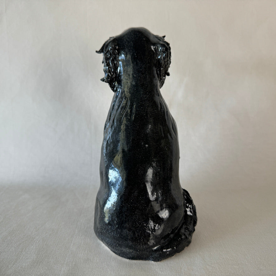 Willow the Flat Coated Retriever