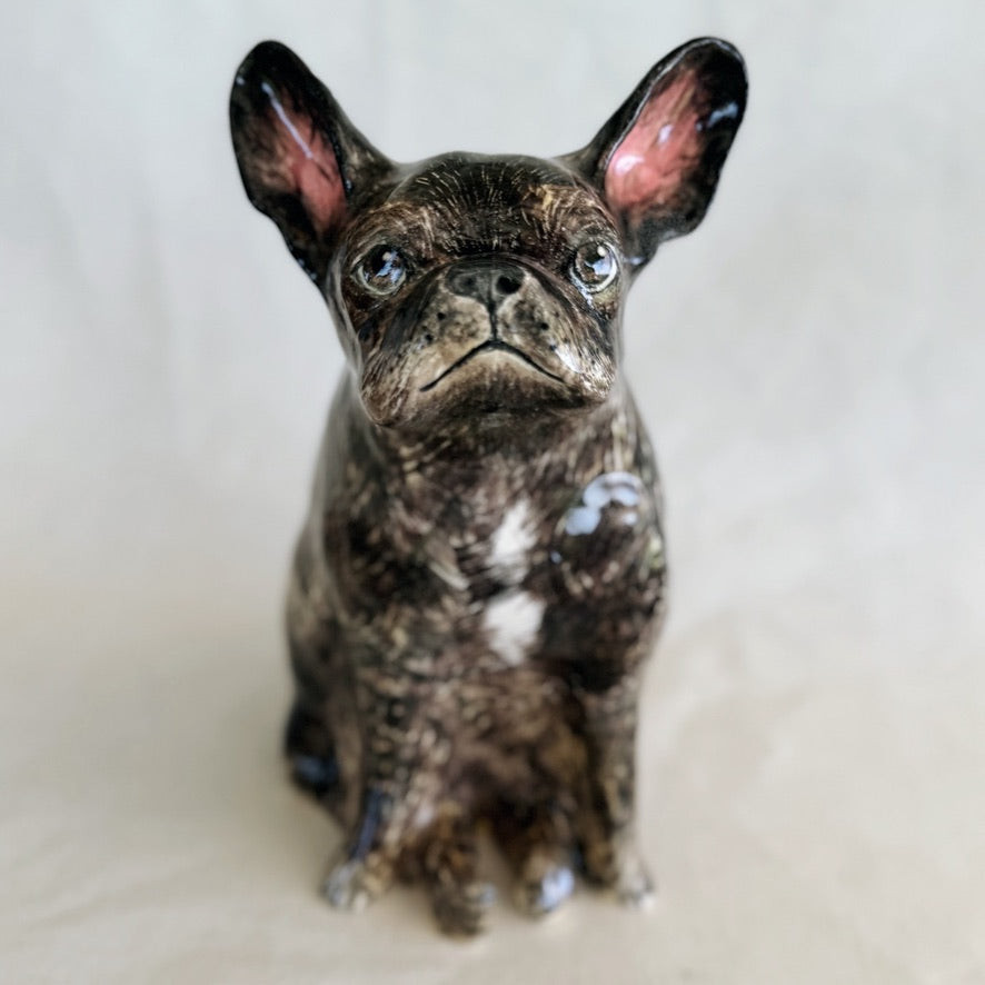 Ivy the Frenchie