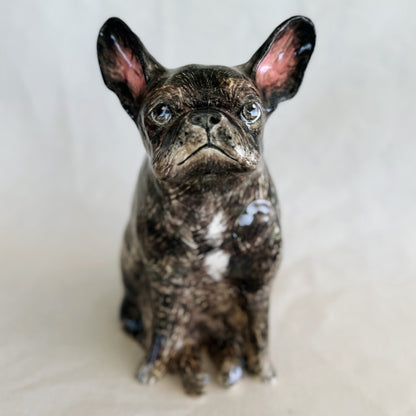 Ivy the Frenchie