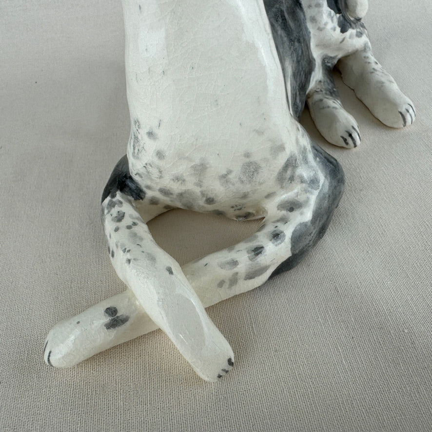 Ottolenghi the Greyhound