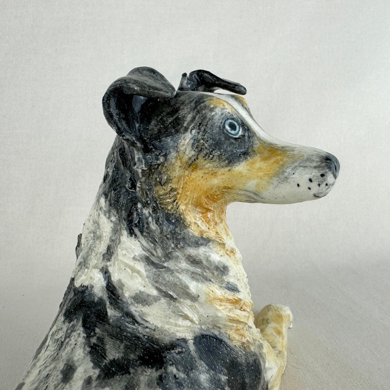 Switch the Australian Shepherd