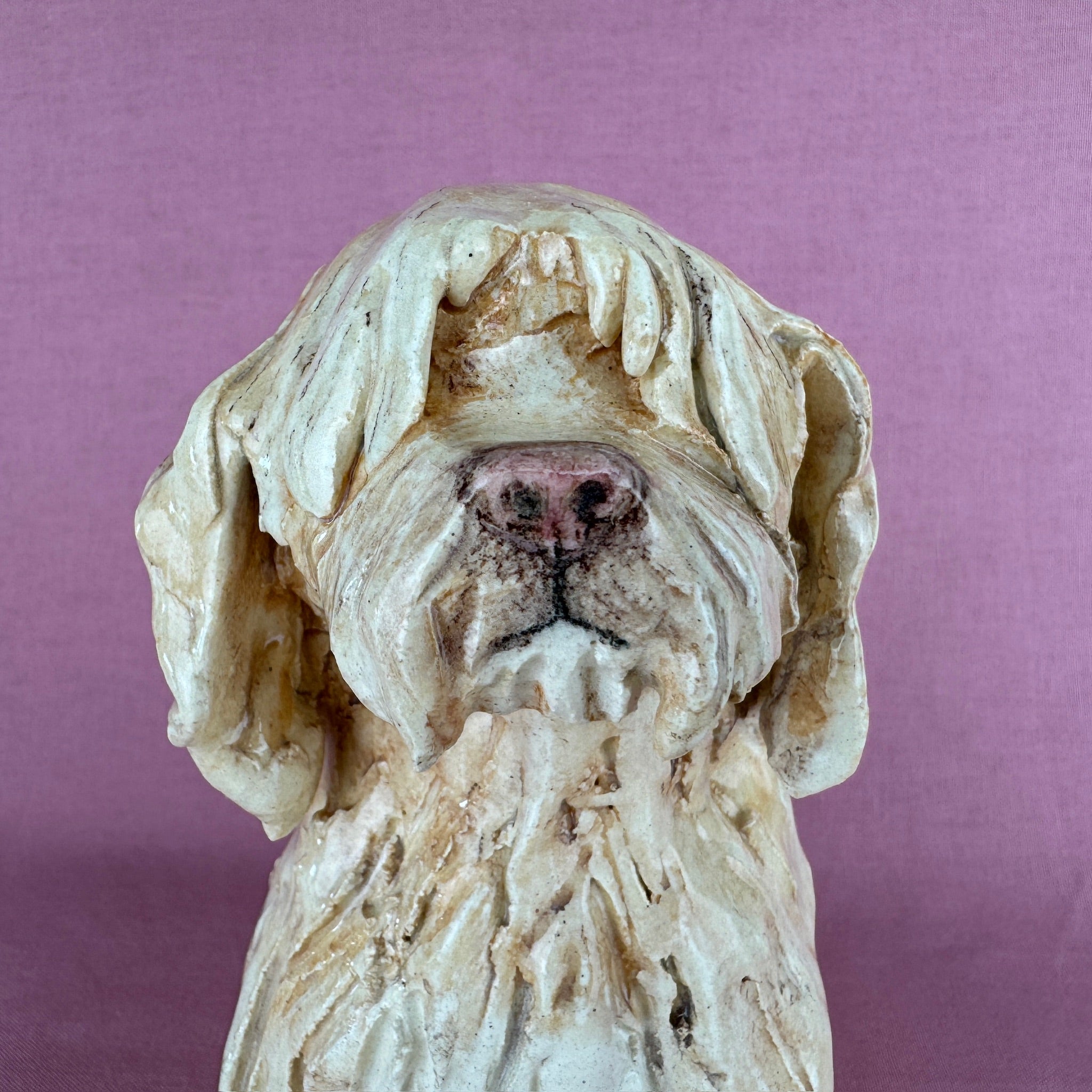 Louie the Labradoodle