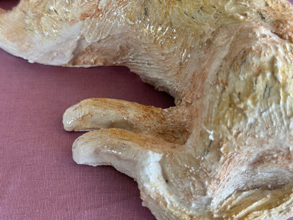 A Lucky Border Terrier