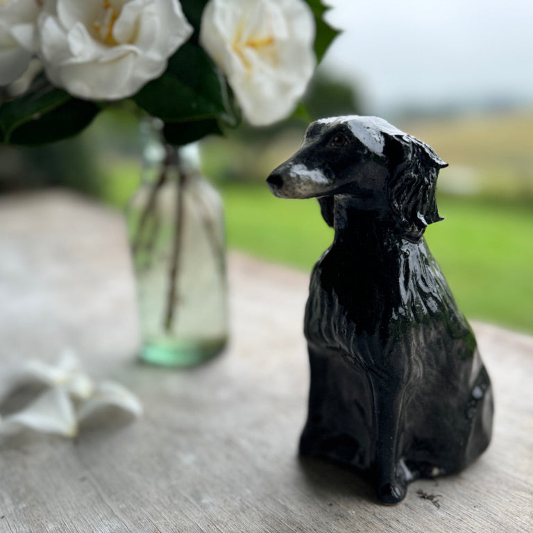 Willow the Flat Coated Retriever