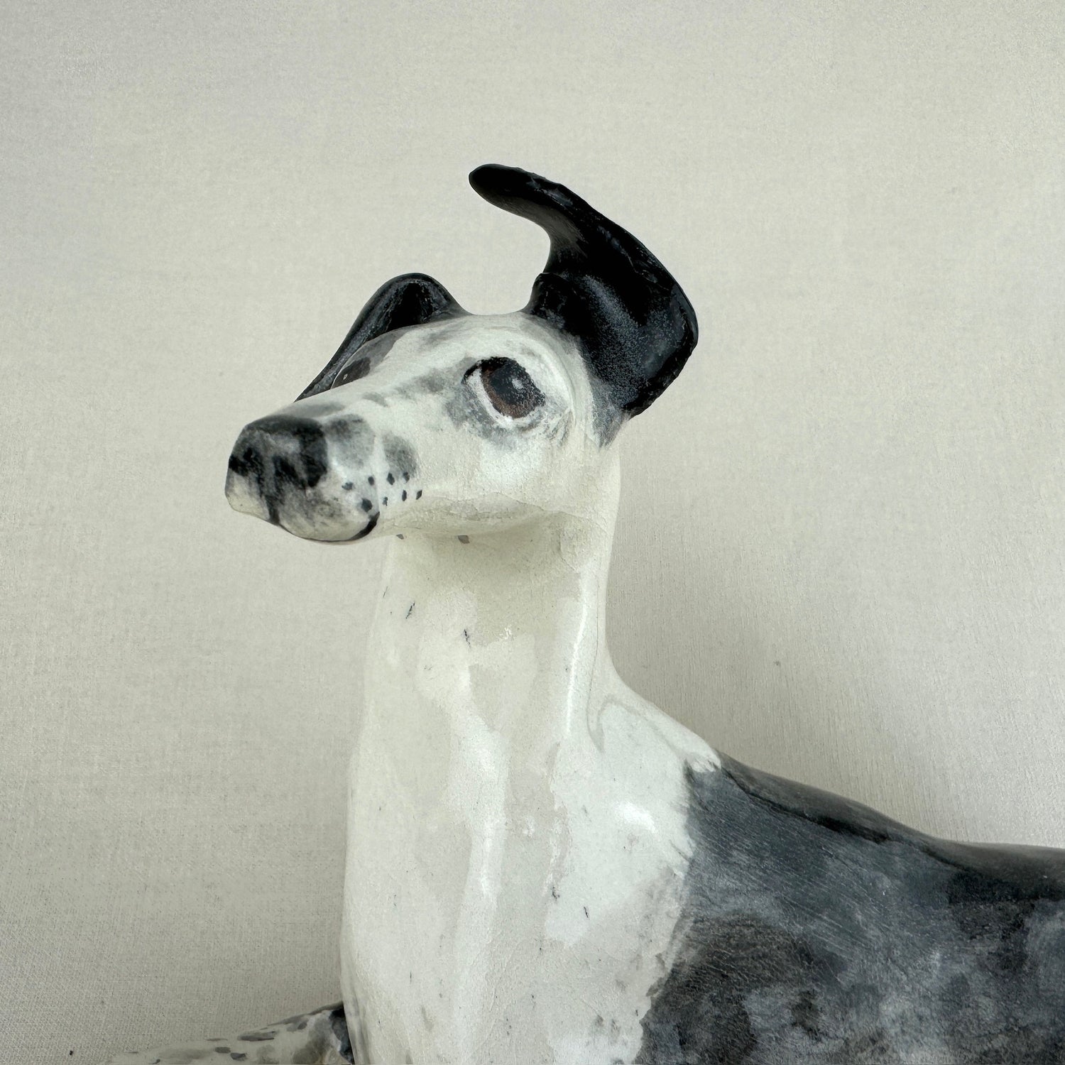 Ottolenghi the Greyhound