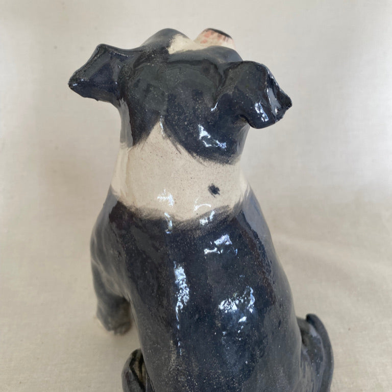 Stormi - English Staffordshire Terrier