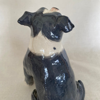 Stormi - English Staffordshire Terrier