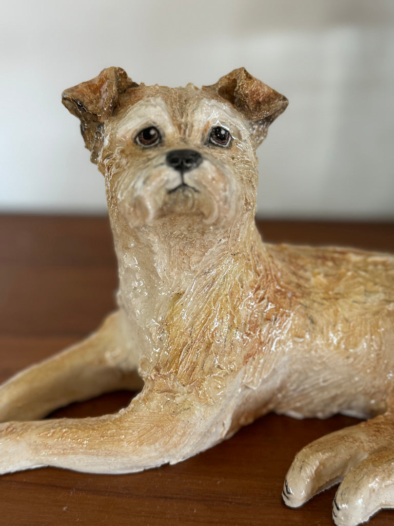 A Lucky Border Terrier