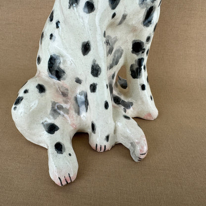 Maisy the Dalmation