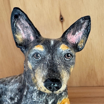Basil the blue heeler.