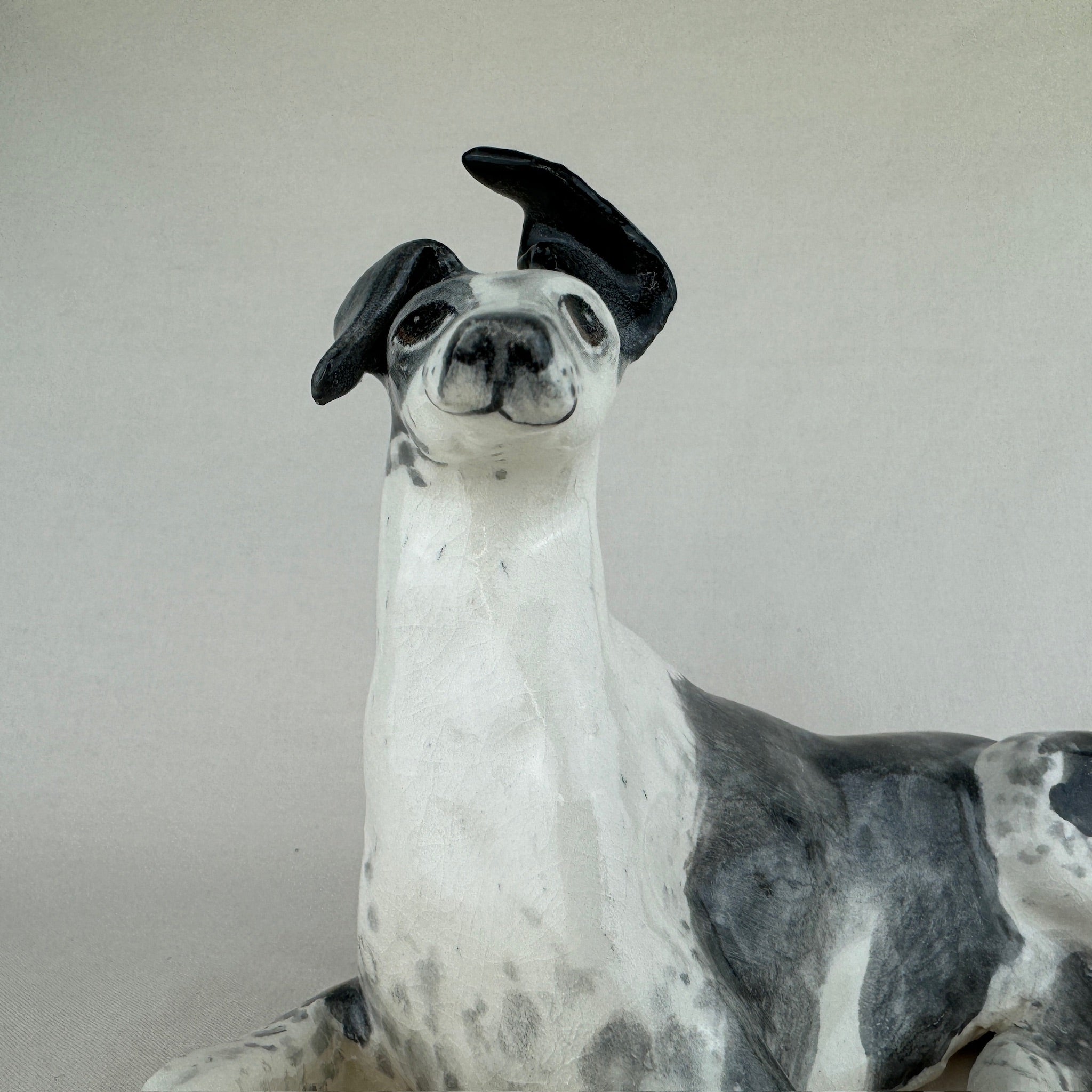 Ottolenghi the Greyhound