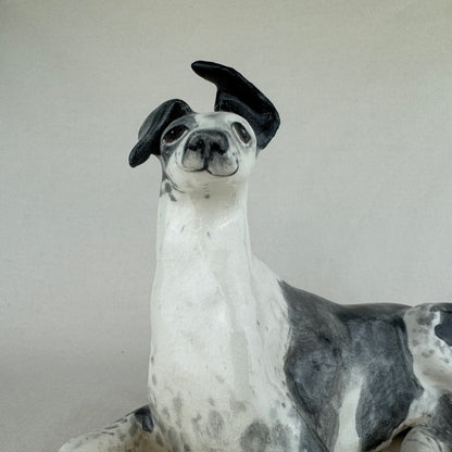 Ottolenghi the Greyhound