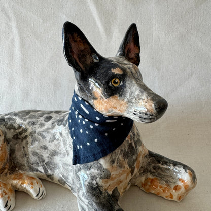Australian Cattle Dog