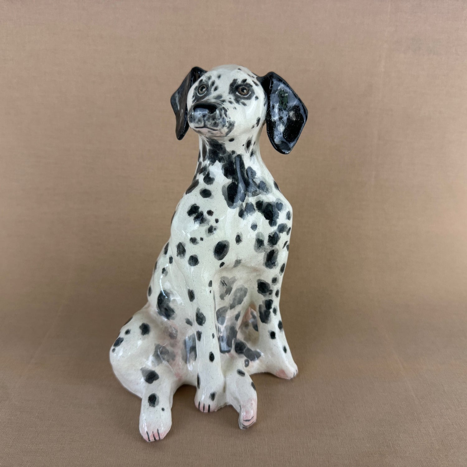 Maisy the Dalmation