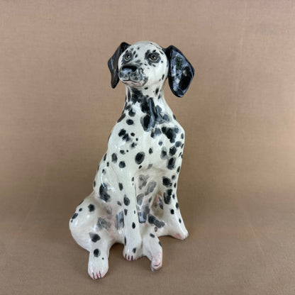 Maisy the Dalmation