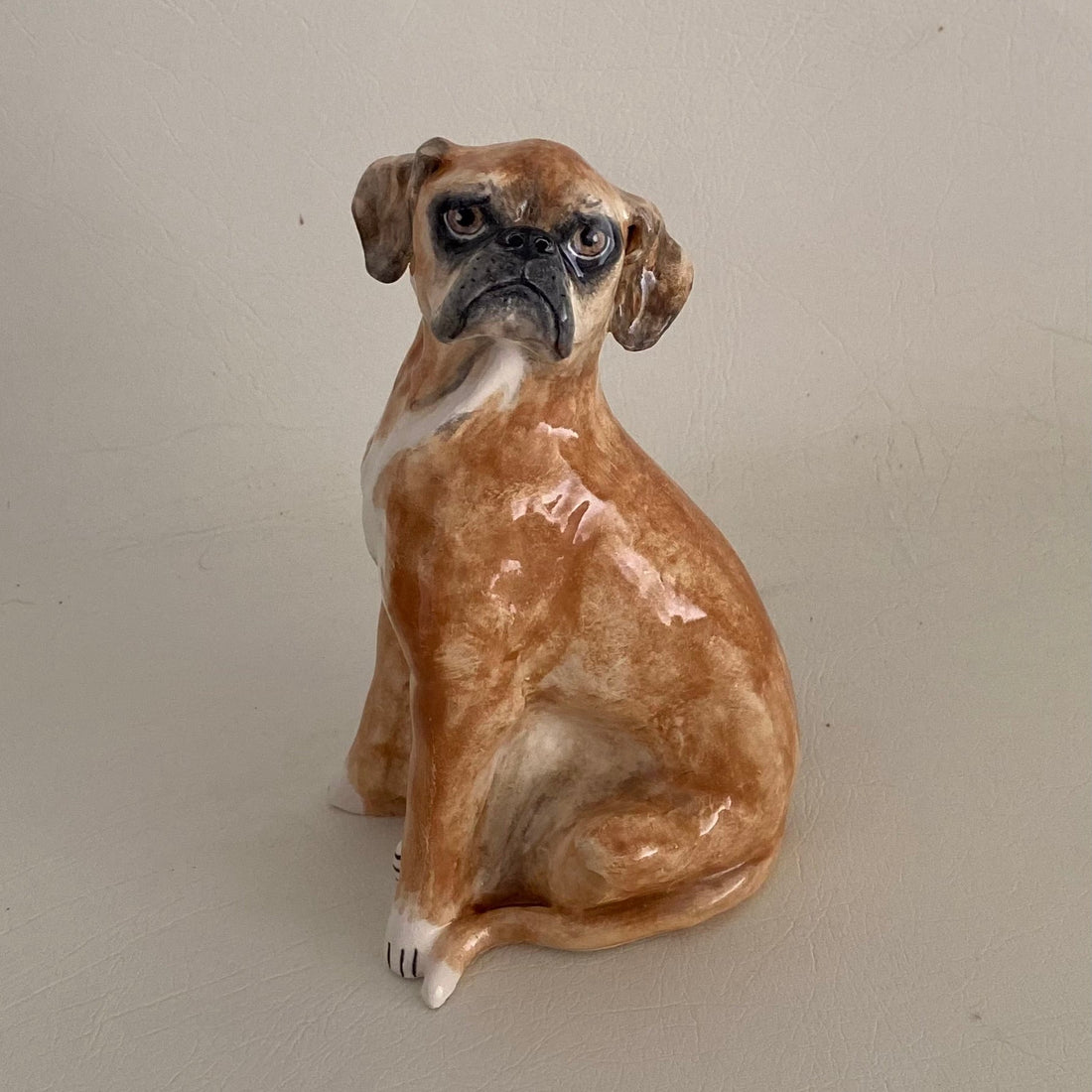Remy, boxer with a heart of gold.