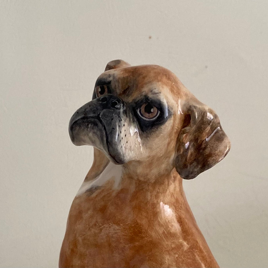 Remy, boxer with a heart of gold.