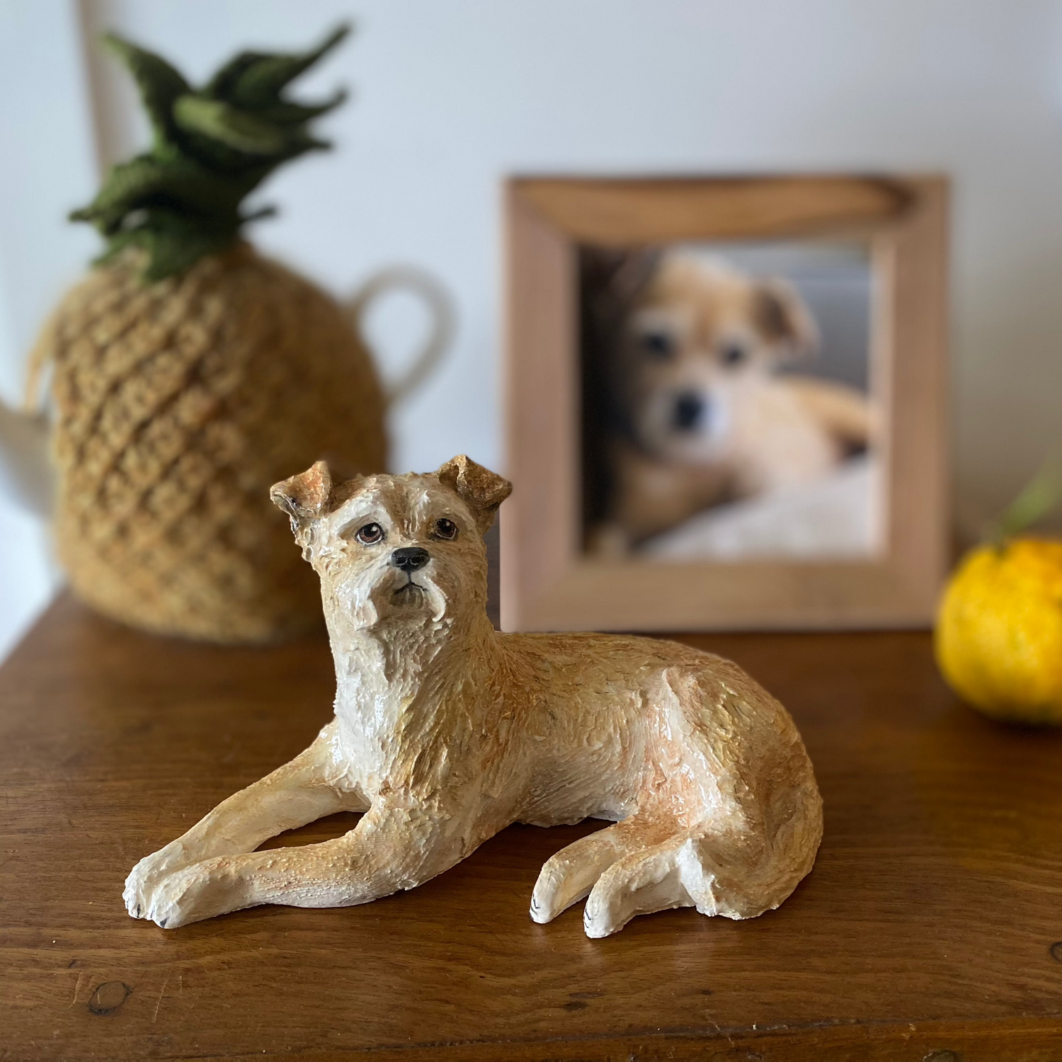 A Lucky Border Terrier