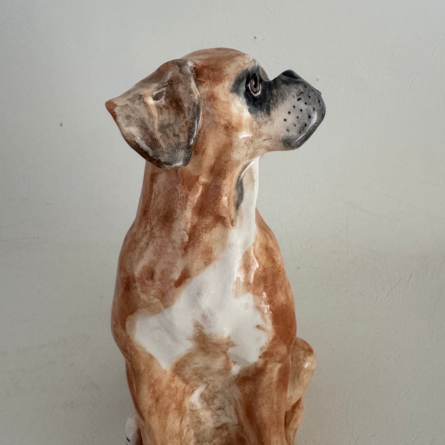 Remy, boxer with a heart of gold.
