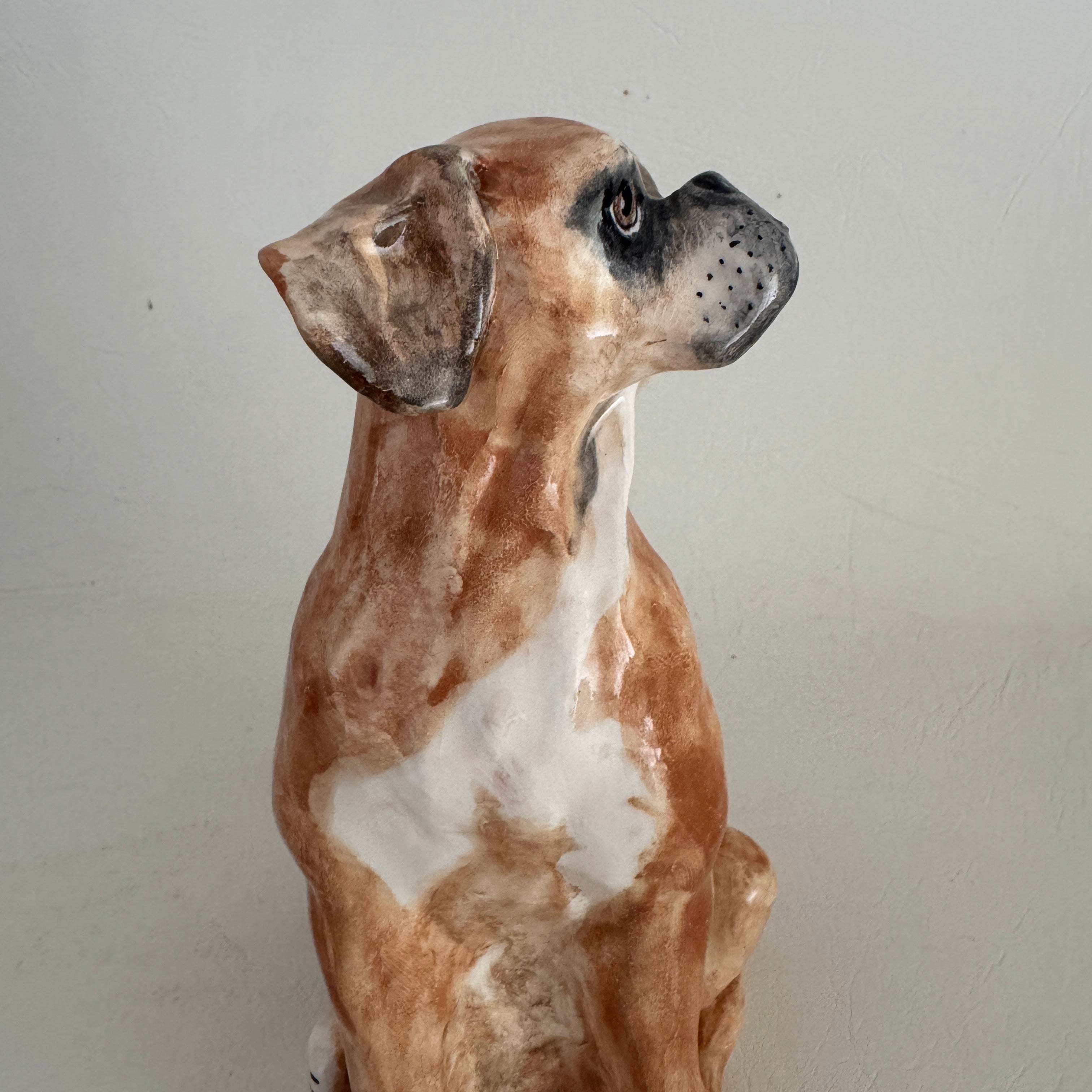 Remy, boxer with a heart of gold.