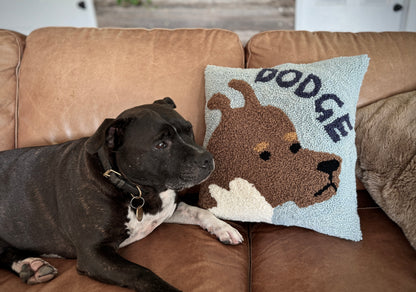 Dodge and his Pillow