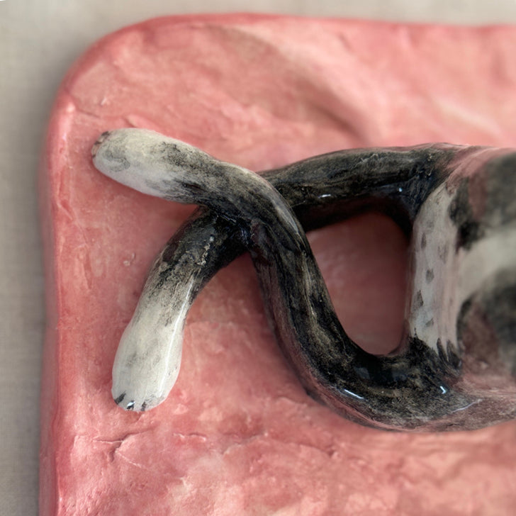 Chopsticks from Greyhound Rescue